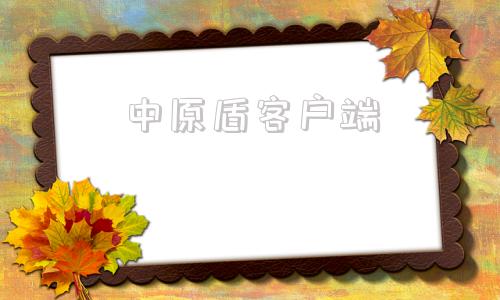 中原盾客户端中原银行企业版客户端