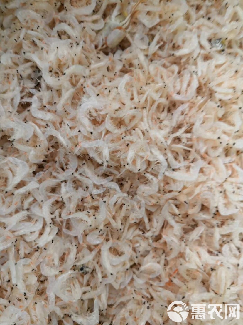 虾皮苹果手机版虾皮ios为什么登不进去账号